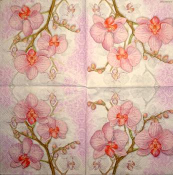 060 Orchids - 4-ply - Handkerchief